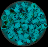 15mm Flower Print Glow in the Dark Silicone Beads