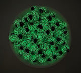 15mm Spider Print Glow in the Dark Silicone Beads--Glows Green