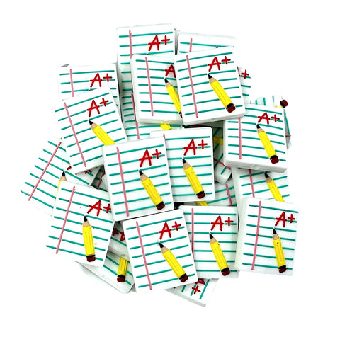 A+ Graded Paper Teacher Silicone Focal Beads